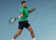 问鼎娱乐-关于德约科维奇赛事官方发布逆转新规，美国队争议不断！的信息